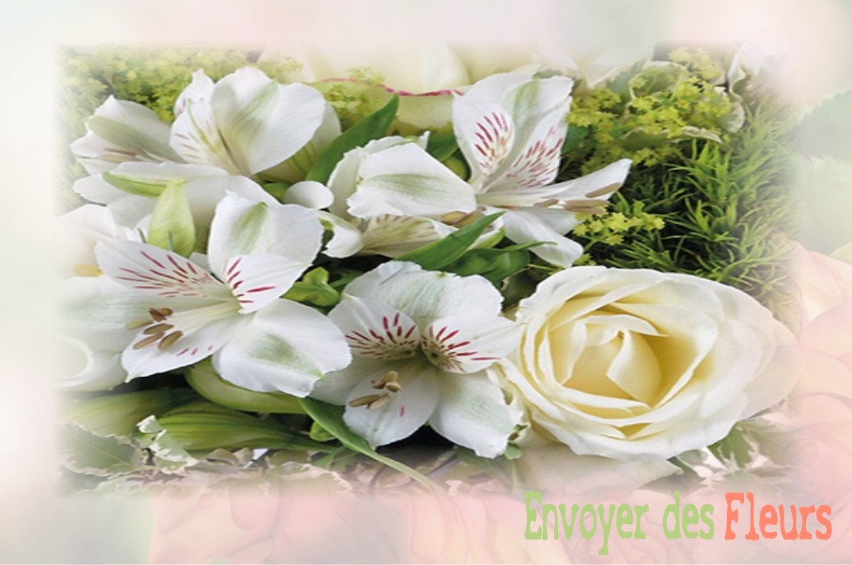 envoyer des fleurs à à SAINT-HILAIRE-DE-RIEZ